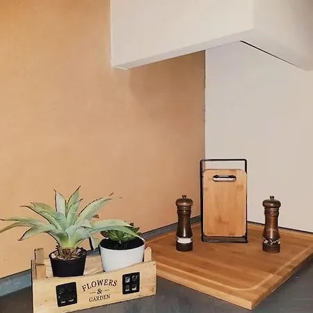 Apartamento Komfortables Im Zentrum Erfurts