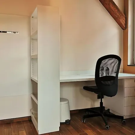 Komfortables Im Zentrum Erfurts Lejlighed Erfurt