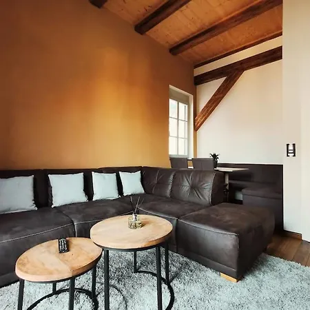 Apartament Komfortables Im Zentrum Erfurts